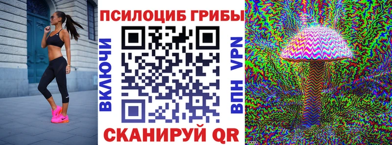 купить закладку  Буй  Галлюциногенные грибы Magic Shrooms 